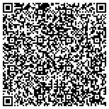 QR-код с контактной информацией организации Субъект предпринимательской деятельности Интернет-магазин "Pistoleti"