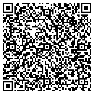 QR-код с контактной информацией организации ИП Рубин И.В.