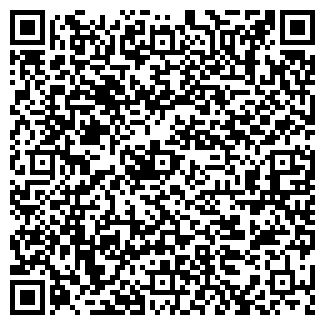 QR-код с контактной информацией организации Романчик, ИП