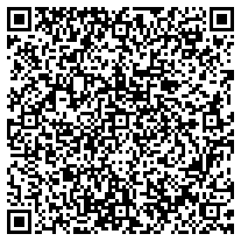 QR-код с контактной информацией организации Общество с ограниченной ответственностью ООО "Айс Технолоджи"