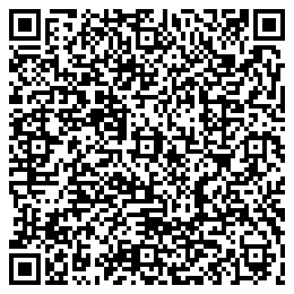 QR-код с контактной информацией организации Алиев, ИП