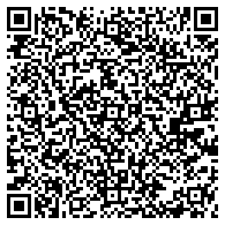 QR-код с контактной информацией организации ПОДЛЕВСКИХ В.Н.