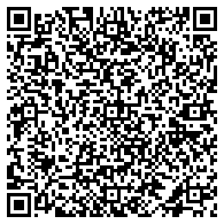 QR-код с контактной информацией организации БИЗЯЕВ А.А., ЧП