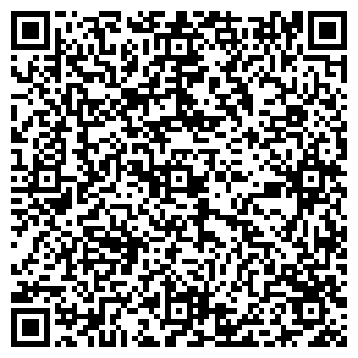 QR-код с контактной информацией организации ООО ГЕО-СЕРВИС