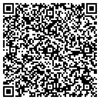 QR-код с контактной информацией организации БОРОВЫХ, ЧП
