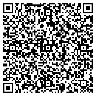 QR-код с контактной информацией организации Кафе "Черный кот"