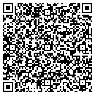 QR-код с контактной информацией организации ДОМИНО ООО