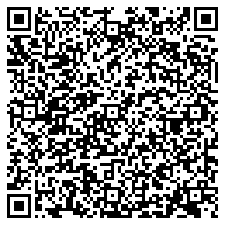 QR-код с контактной информацией организации ВЕРТУАЛЬ