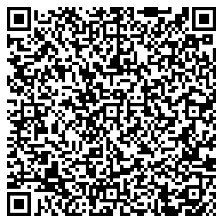 QR-код с контактной информацией организации ВОЛНА ТУР