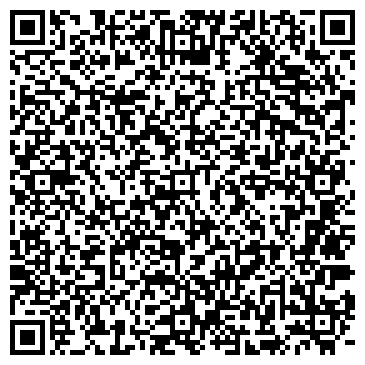 QR-код с контактной информацией организации АЛИСА ДЕТСКИЙ ЭСТЕТИЧЕСКИЙ ЦЕНТР