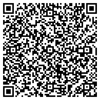 QR-код с контактной информацией организации ДИЛА, ЧП