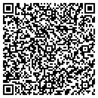 QR-код с контактной информацией организации ЧЕСНОКОВ, ЧП