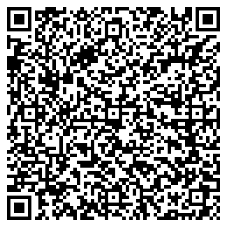 QR-код с контактной информацией организации ДЕТАЛИ МАШИНЫ