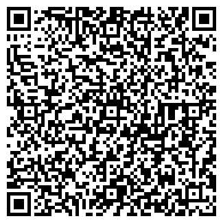 QR-код с контактной информацией организации № 29