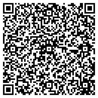 QR-код с контактной информацией организации № 29