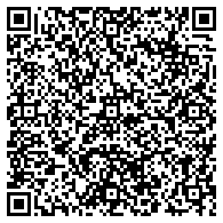 QR-код с контактной информацией организации Интернет-магазин ТЕХНОСИЛА