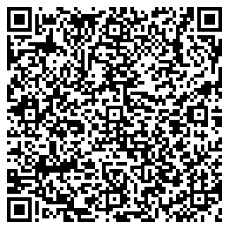 QR-код с контактной информацией организации ОАО ВЫМПЕЛКОМ-РЕГИОН БИ ЛАЙН GSM