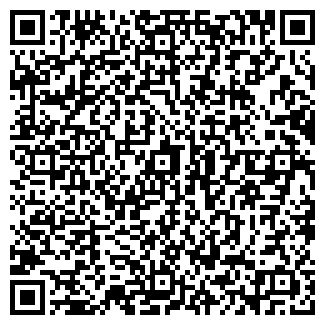 QR-код с контактной информацией организации ПИН И ГВИН