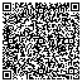 QR-код с контактной информацией организации ИЛЬИН, ЧП
