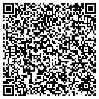 QR-код с контактной информацией организации СТЭФИ ТК