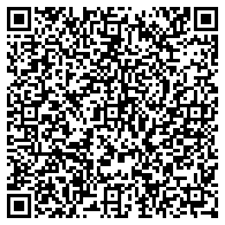 QR-код с контактной информацией организации НИСО, ООО