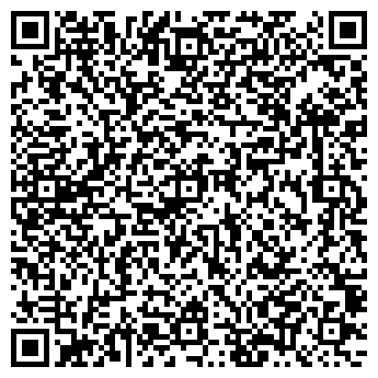 QR-код с контактной информацией организации № 290