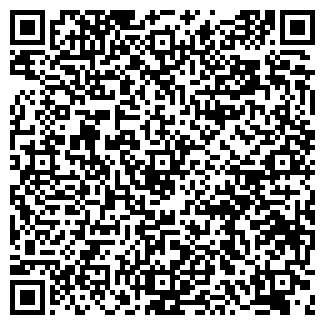 QR-код с контактной информацией организации СЭФ, ООО