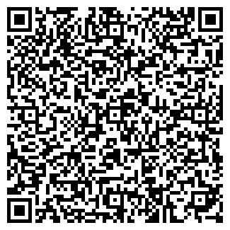 QR-код с контактной информацией организации АРИН, ООО