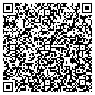 QR-код с контактной информацией организации РЯБИНУШКА