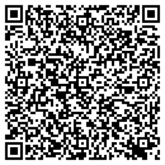 QR-код с контактной информацией организации ОАО СВЕТЛАНА