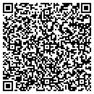 QR-код с контактной информацией организации «Эльдорадо» .