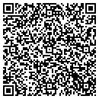 QR-код с контактной информацией организации ООО "Геофизик"