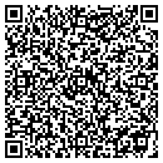 QR-код с контактной информацией организации НИКИТКИНСКАЯ ШКОЛА