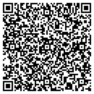 QR-код с контактной информацией организации НИКОЛАЙ