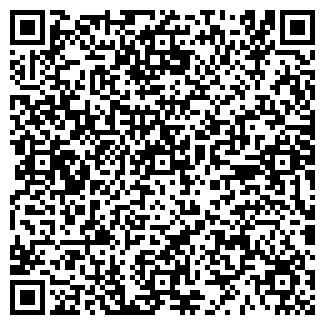QR-код с контактной информацией организации СЕМКИН В.В.