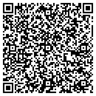 QR-код с контактной информацией организации СКРИПКА