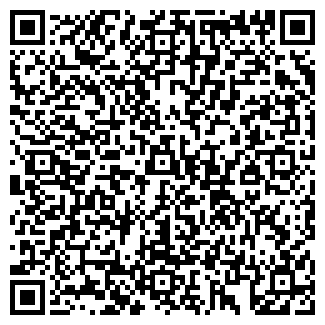 QR-код с контактной информацией организации № 163 ЯСЛИ-САД