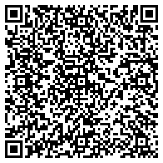 QR-код с контактной информацией организации РИКОШЕТ ПЛЮС