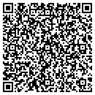 QR-код с контактной информацией организации ПАО «ВымпелКом» Билайн