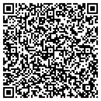 QR-код с контактной информацией организации ООО АРКТИКА