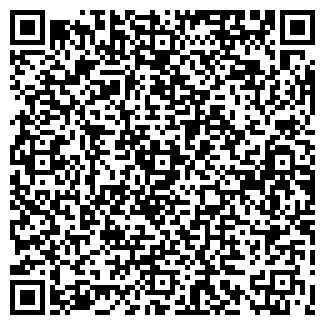 QR-код с контактной информацией организации МОЛНИЯ