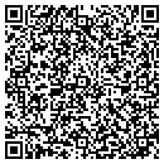 QR-код с контактной информацией организации ООО "Руслан" "Панорама"