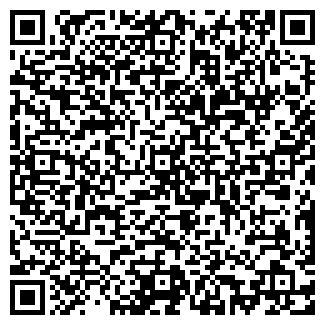 QR-код с контактной информацией организации АЙС ТРАК ОАО