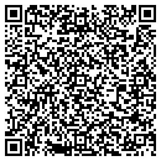 QR-код с контактной информацией организации ДИКСИ