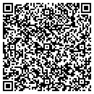 QR-код с контактной информацией организации АЗИЗОВА, ЧП