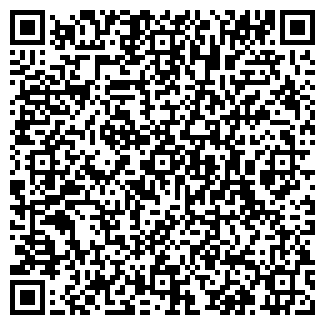 QR-код с контактной информацией организации БОРОДИН, ЧП