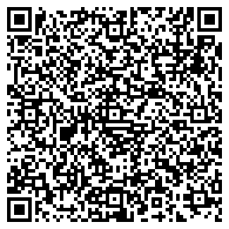 QR-код с контактной информацией организации Новости Сатки