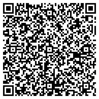 QR-код с контактной информацией организации BLUESKY