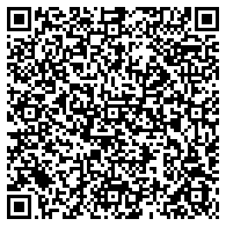 QR-код с контактной информацией организации «Новый Вавилон»