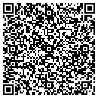 QR-код с контактной информацией организации БАГИРА